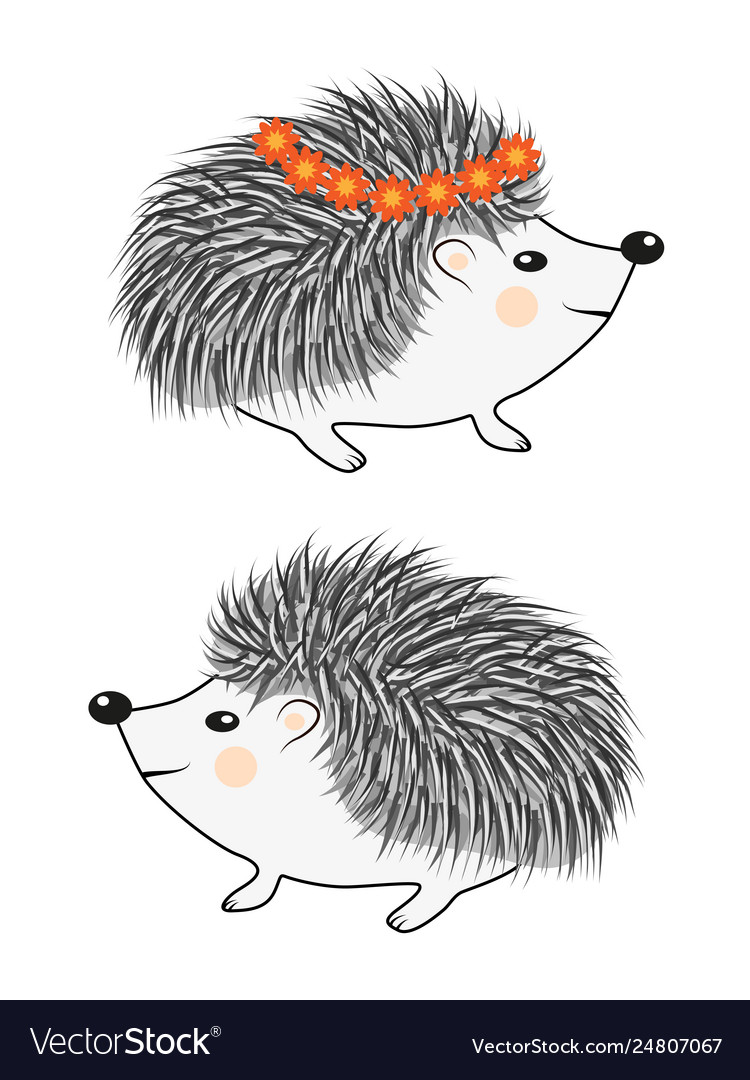 Cool little hedgehog in cartoon style wearing