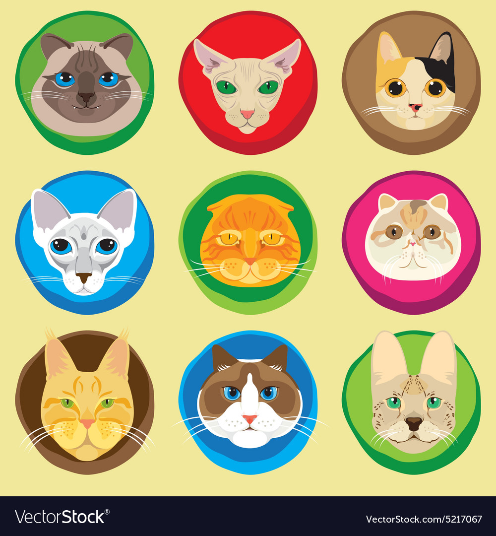 Set of 9 cats faces icons Royalty Free Vector Image