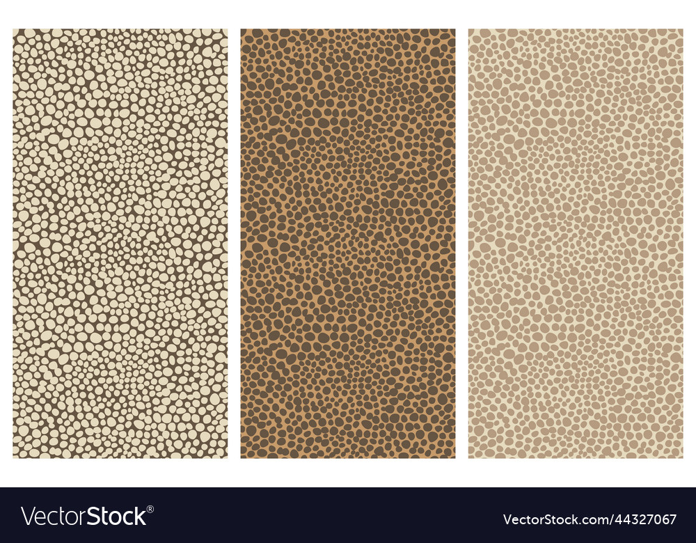 Set of rectangular seamless patterns vector image Set of rectangular seamless patterns