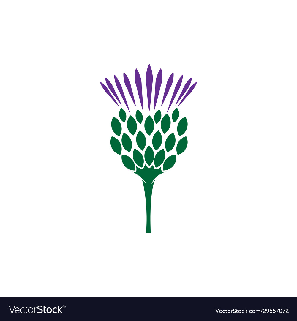 scottish thistle logo