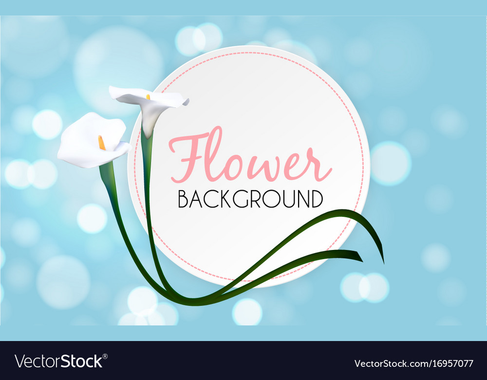 Abstract floral background with calla flower