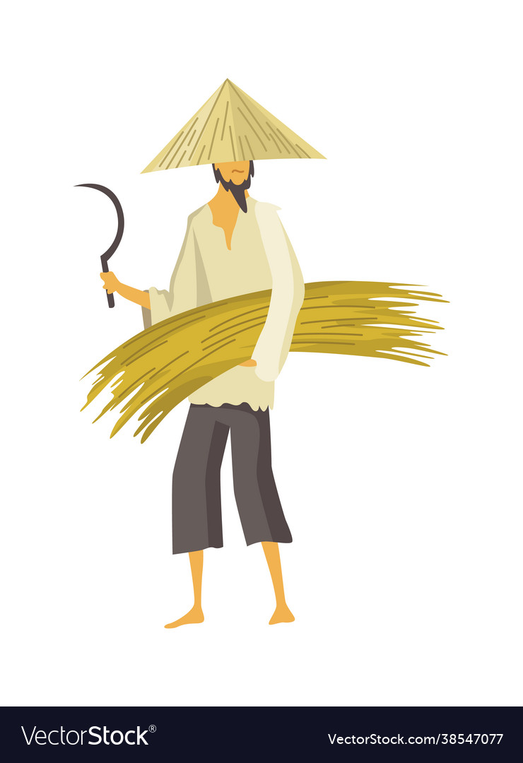 Asian farmer in straw conical hat asia rural Vector Image