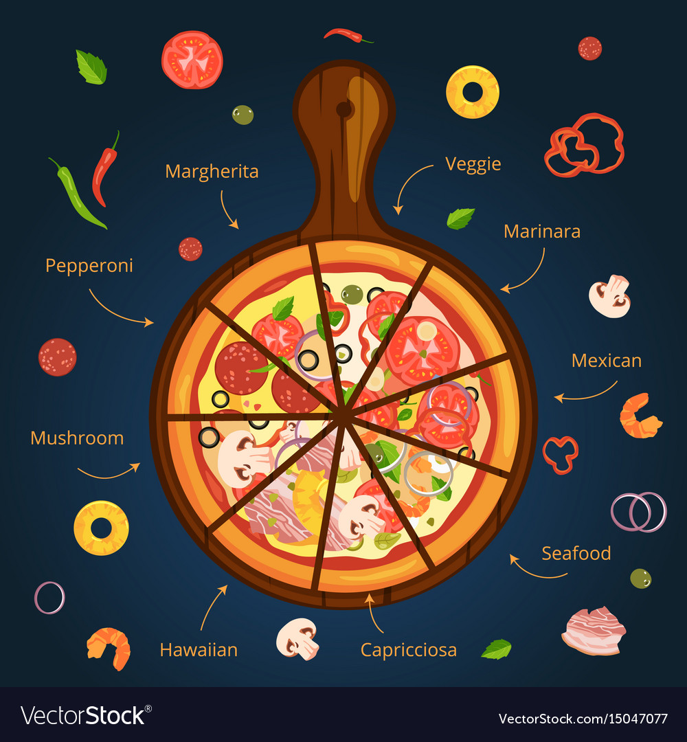 Different ingredients of classical italian pizza Vector Image