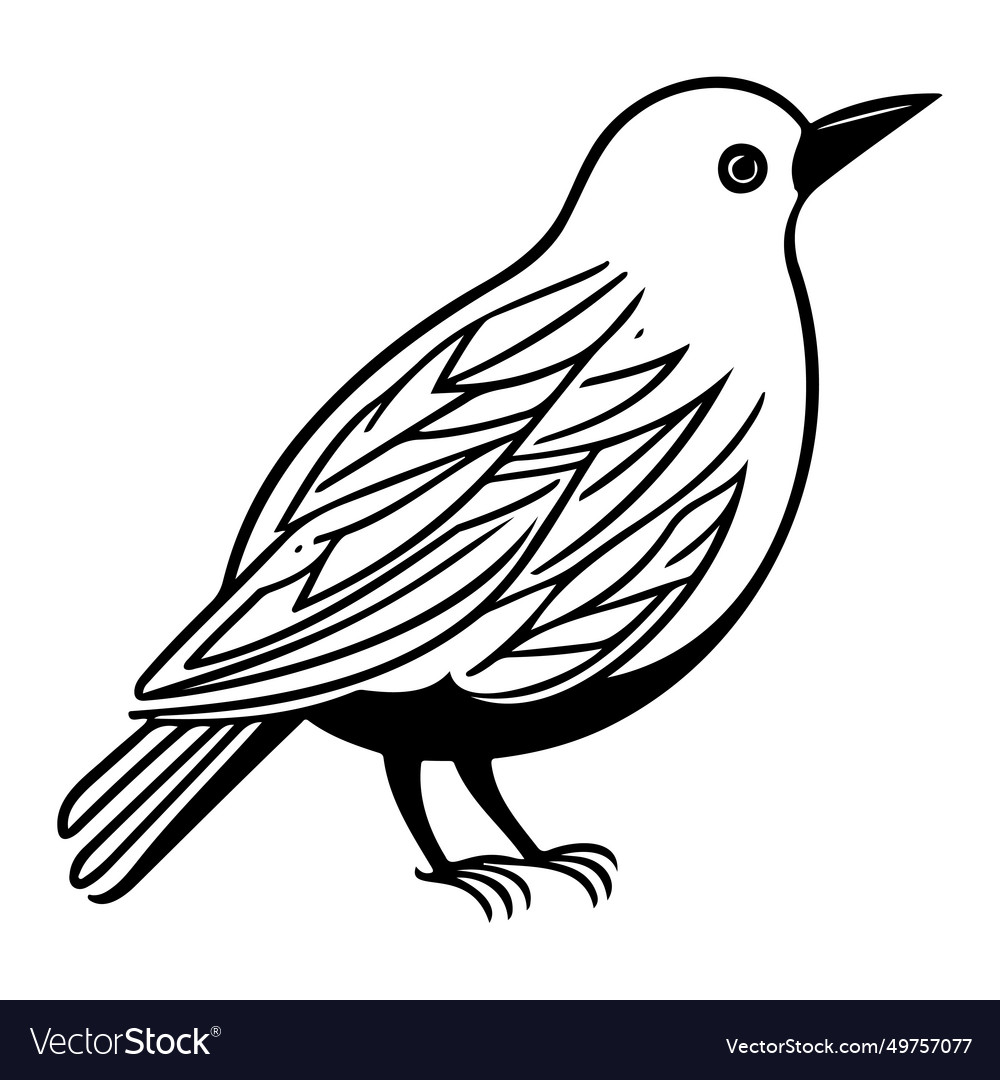 Doodle birds sketch hand draw Royalty Free Vector Image