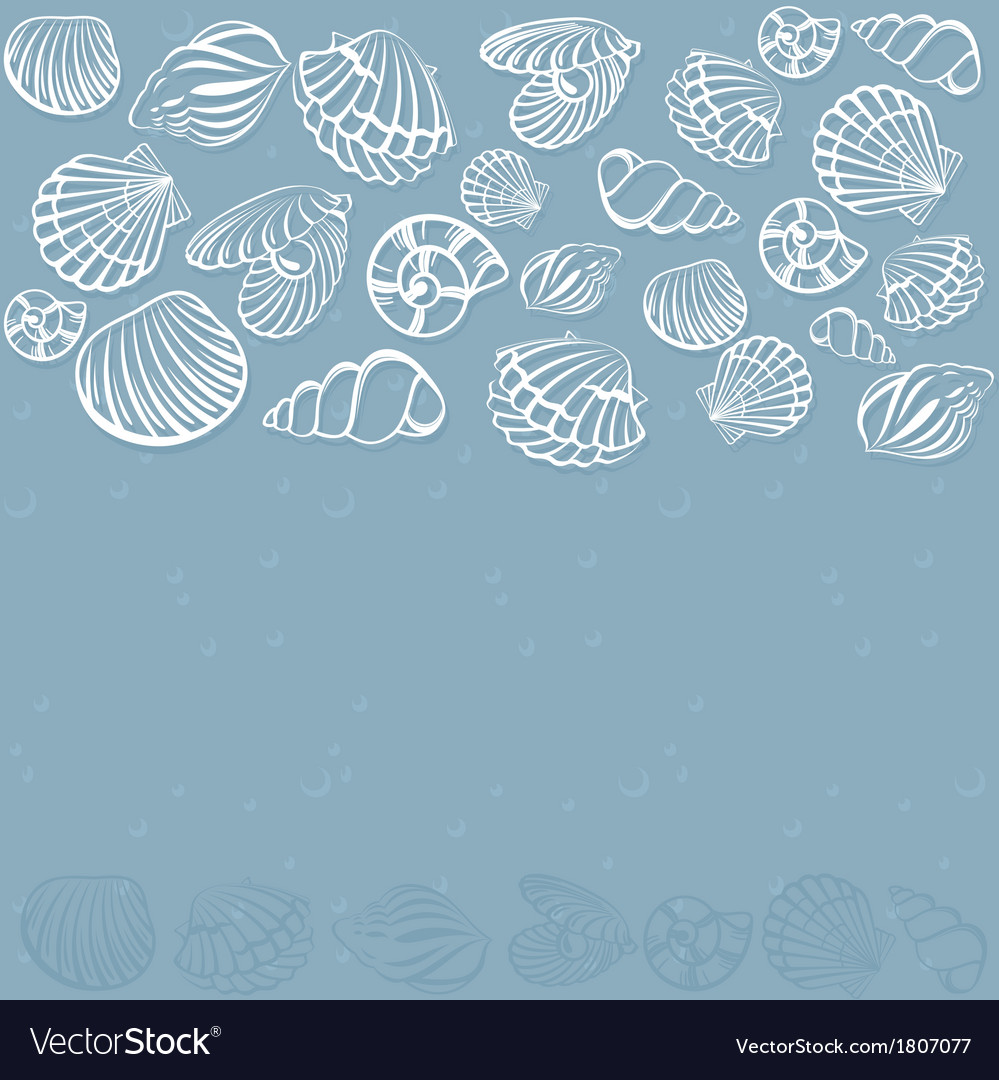 Seashell Pattern Background