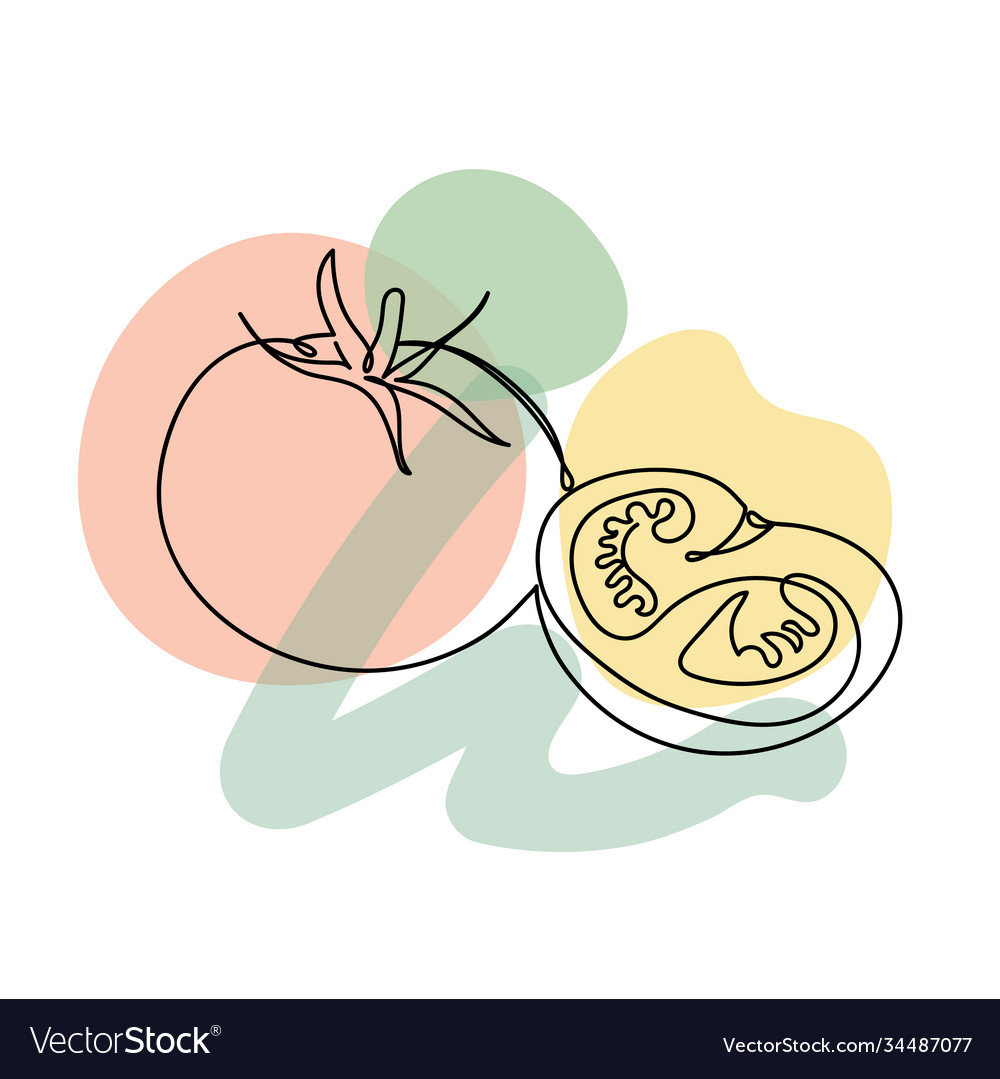 Tomatoes in a hand drawn linear style Royalty Free Vector