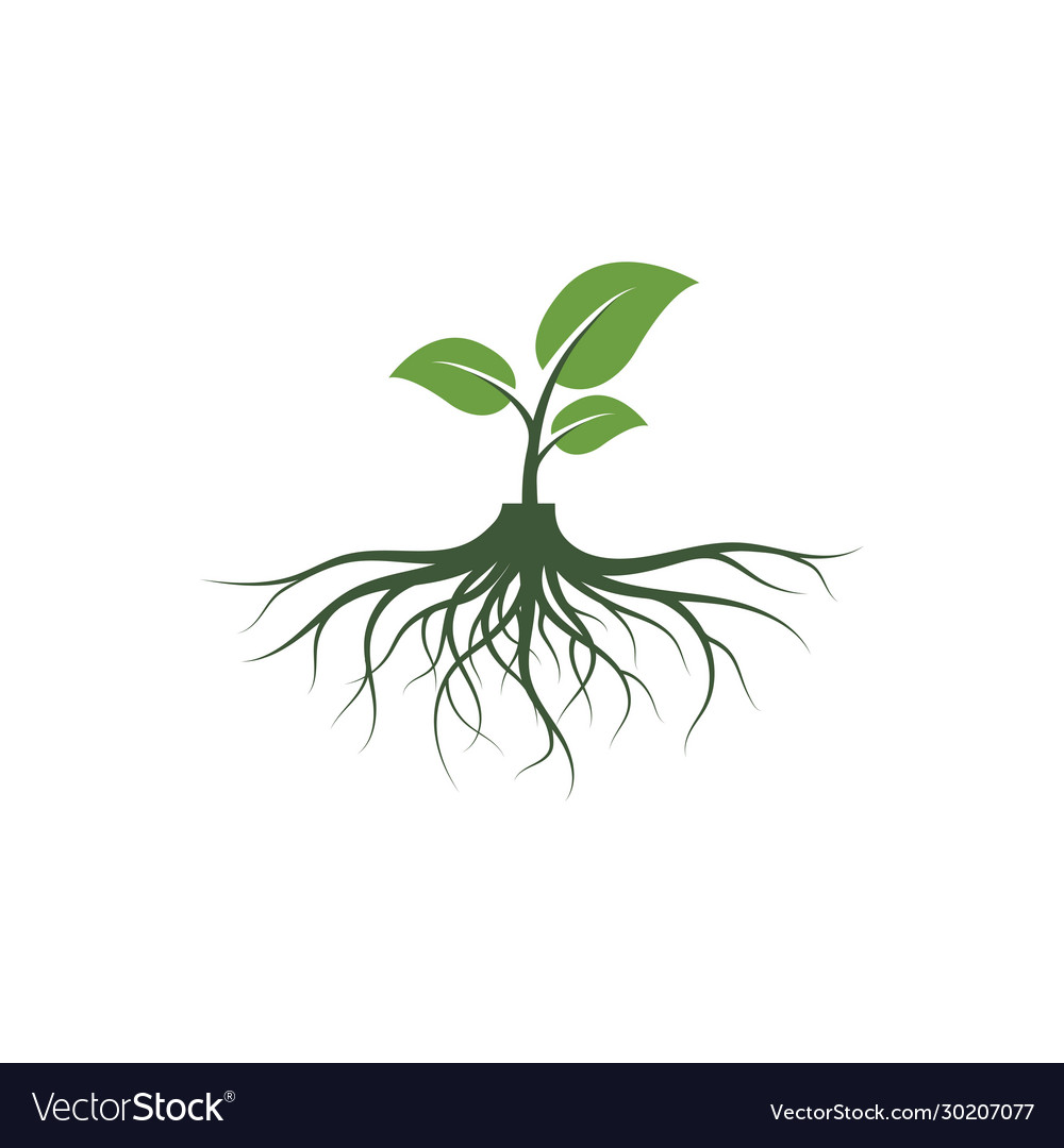 Tree roots icon design Royalty Free Vector Image