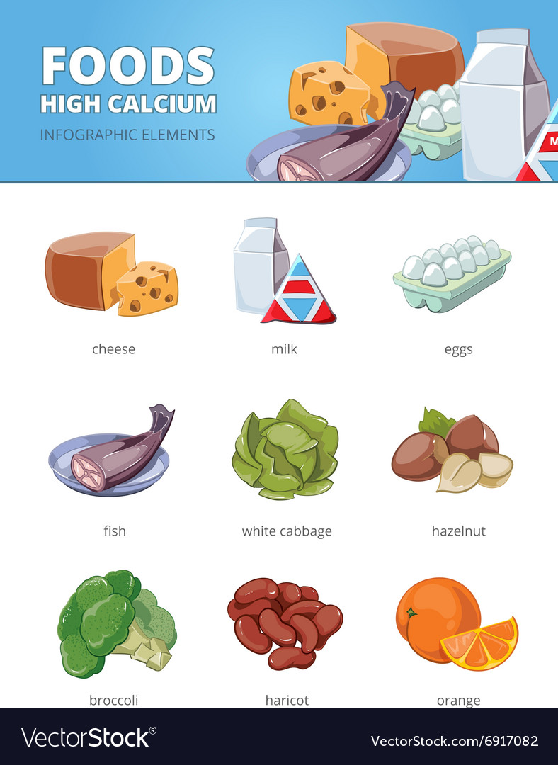 High Calcium And Vitamins Foods Royalty Free Vector Image