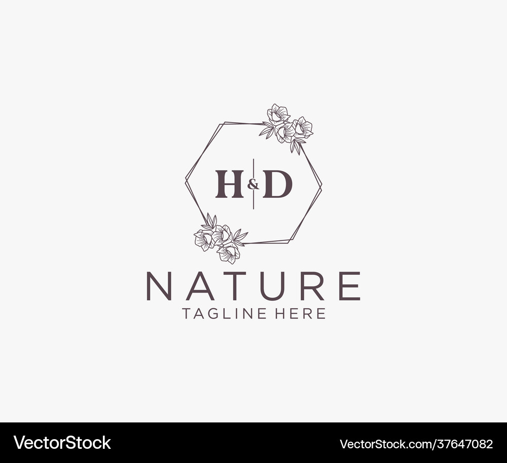 Initial hd letters floral frames botanical Vector Image