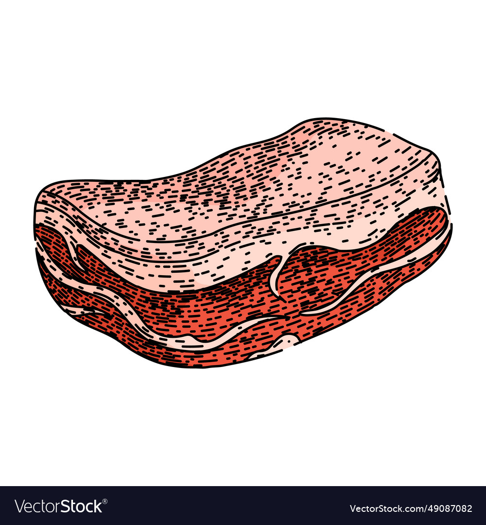 Sirloin meat sketch hand drawn