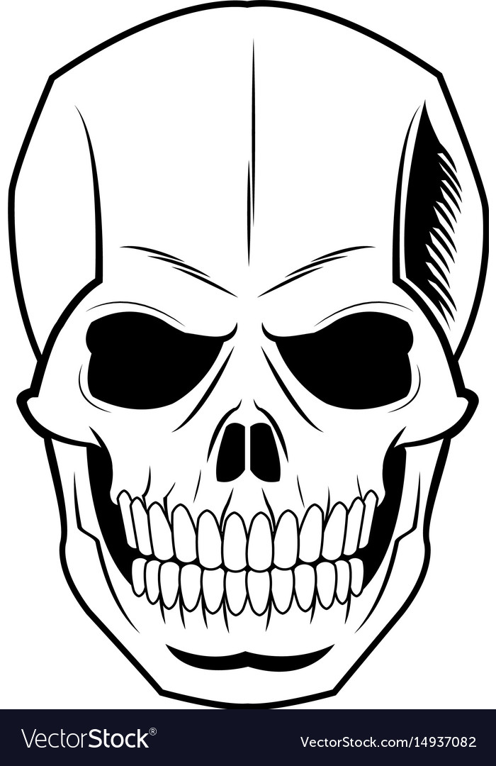 Vintage Human Skull Illustration