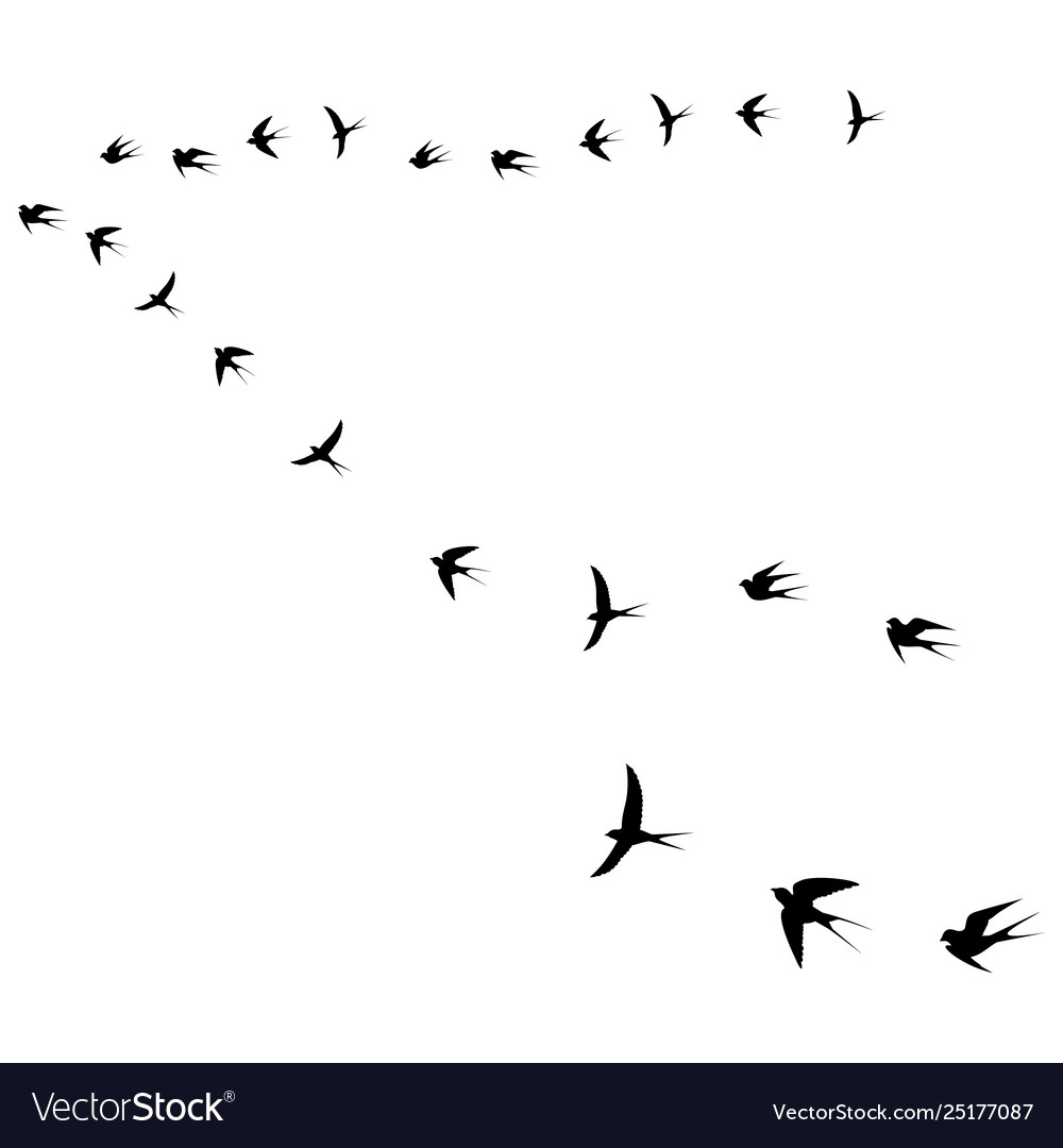 Birds fly icon Royalty Free Vector Image - VectorStock