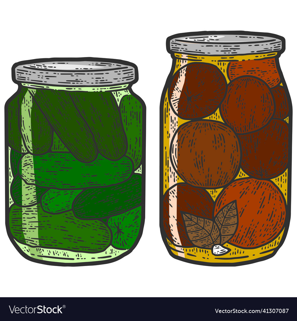 Preservation set color two jars of cucumbers vector image Preservation set color two jars of cucumbers
