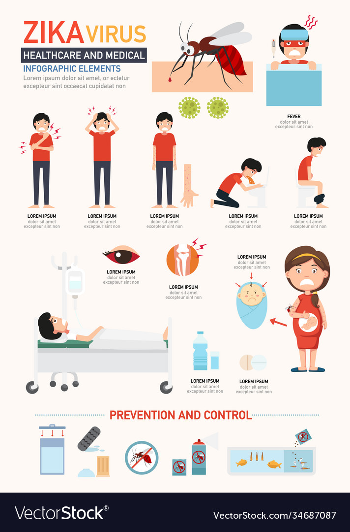 Zika Virus Infographics Royalty Free Vector Image 