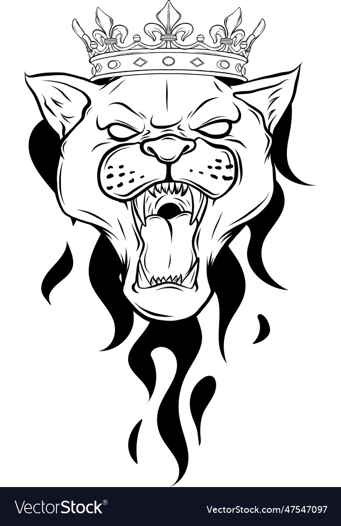 Leopard head in black and white outline Royalty Free Vector