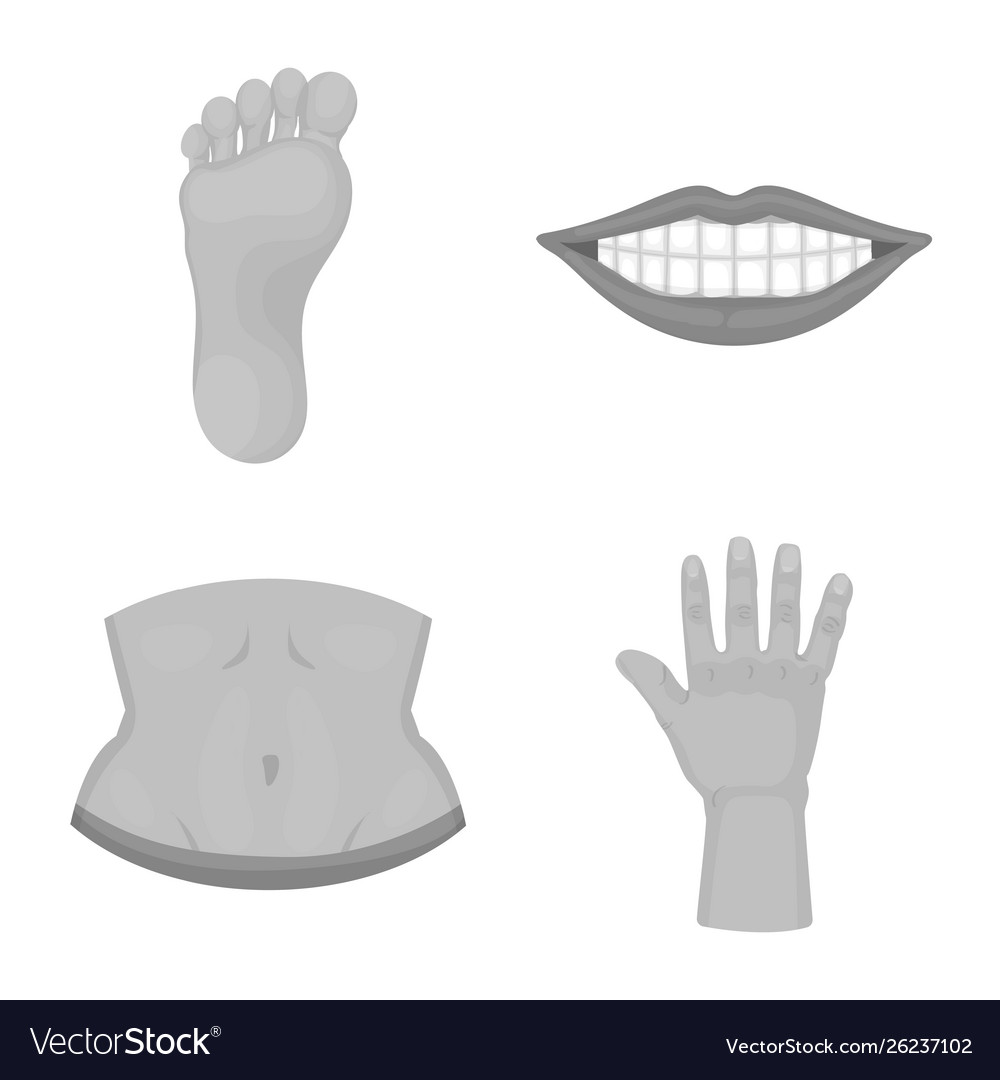 Isolated object body and part symbol Vector Image Isolated object body and part symbol