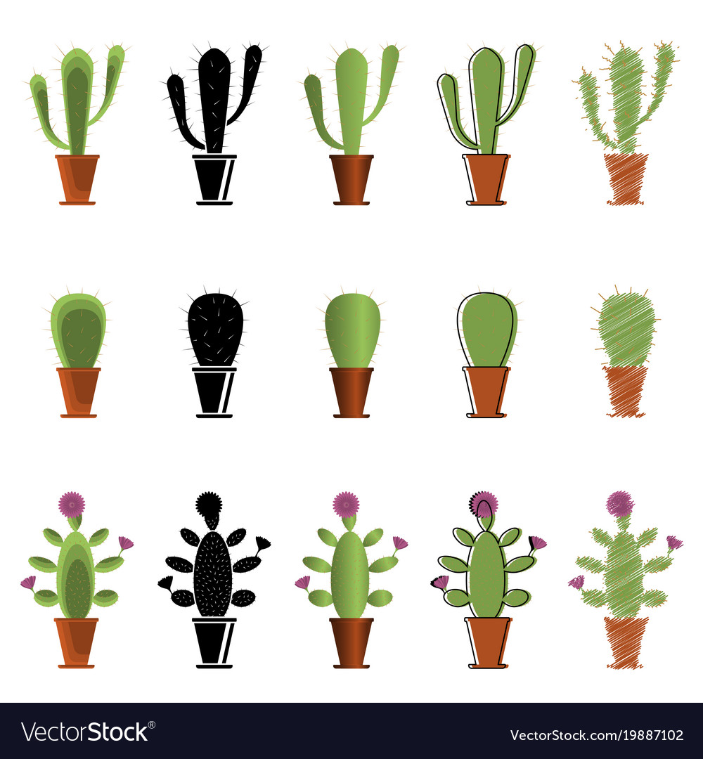 set of cacti in different styles royalty free vector image