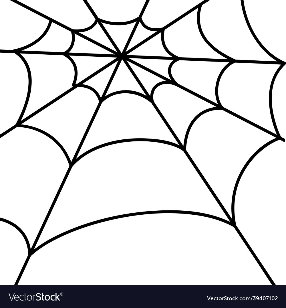 Spider web simple line Vector Image Spider web simple line