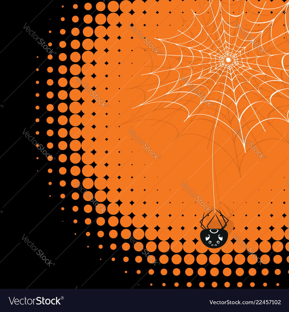 Spider web with cute