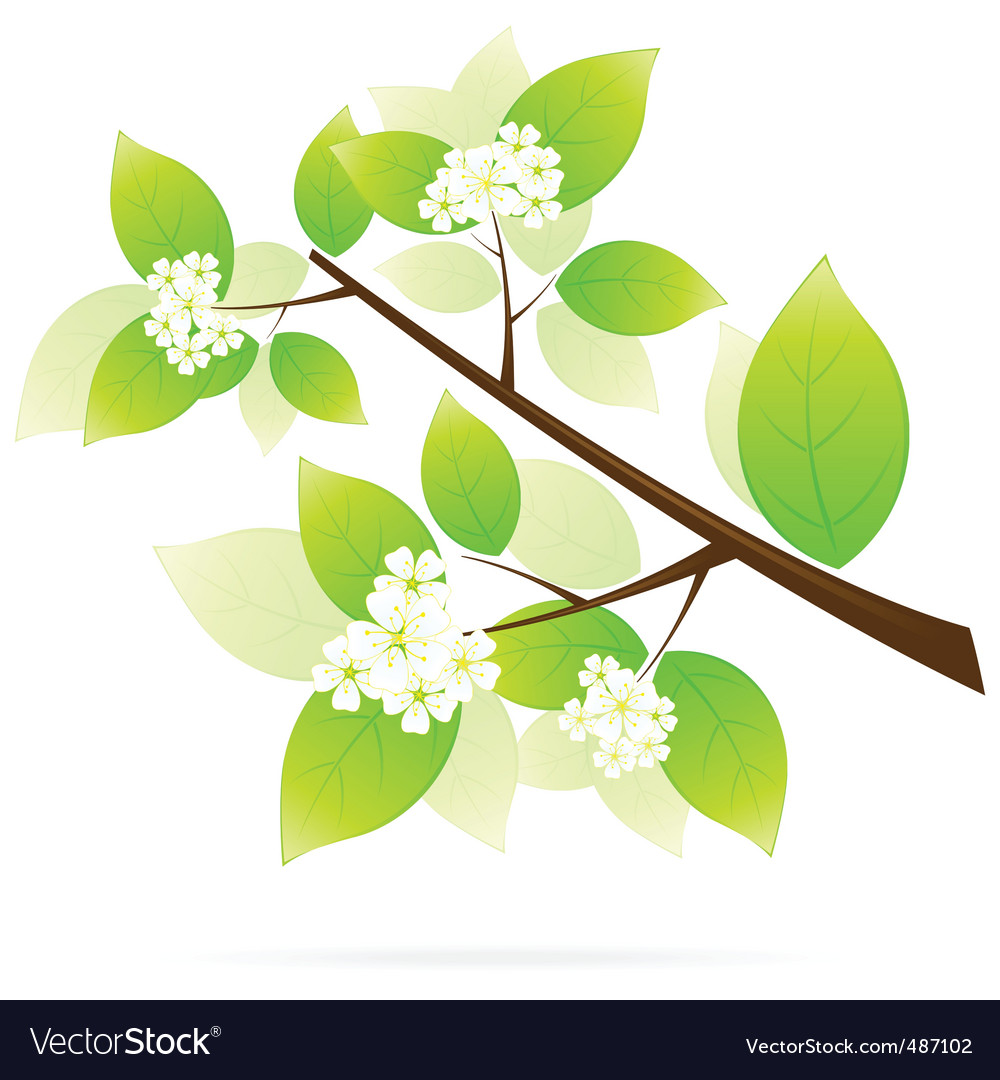 Tree branch icon