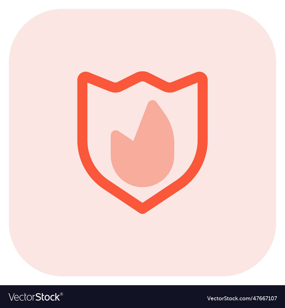 Firewall used to secure network