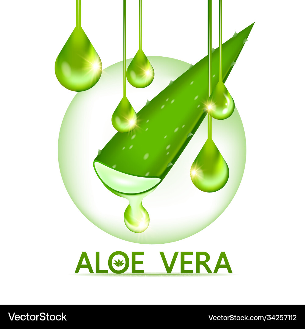 Aloe vera collagen and serum Royalty Free Vector Image
