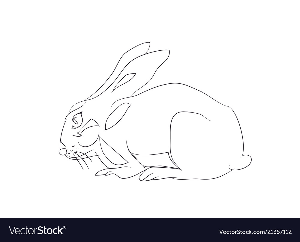 Rabbits with lines vector image Rabbits with lines