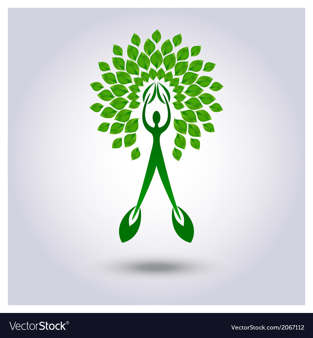 Tree with green leafage background