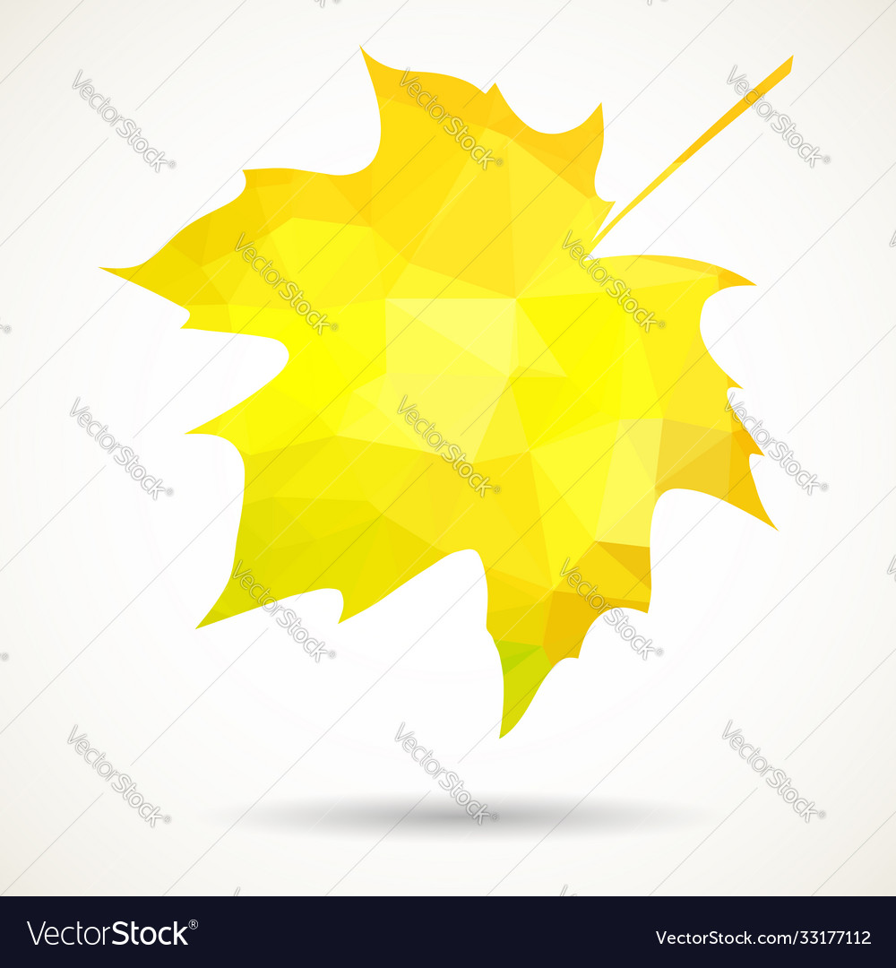 Triangular maple leaf