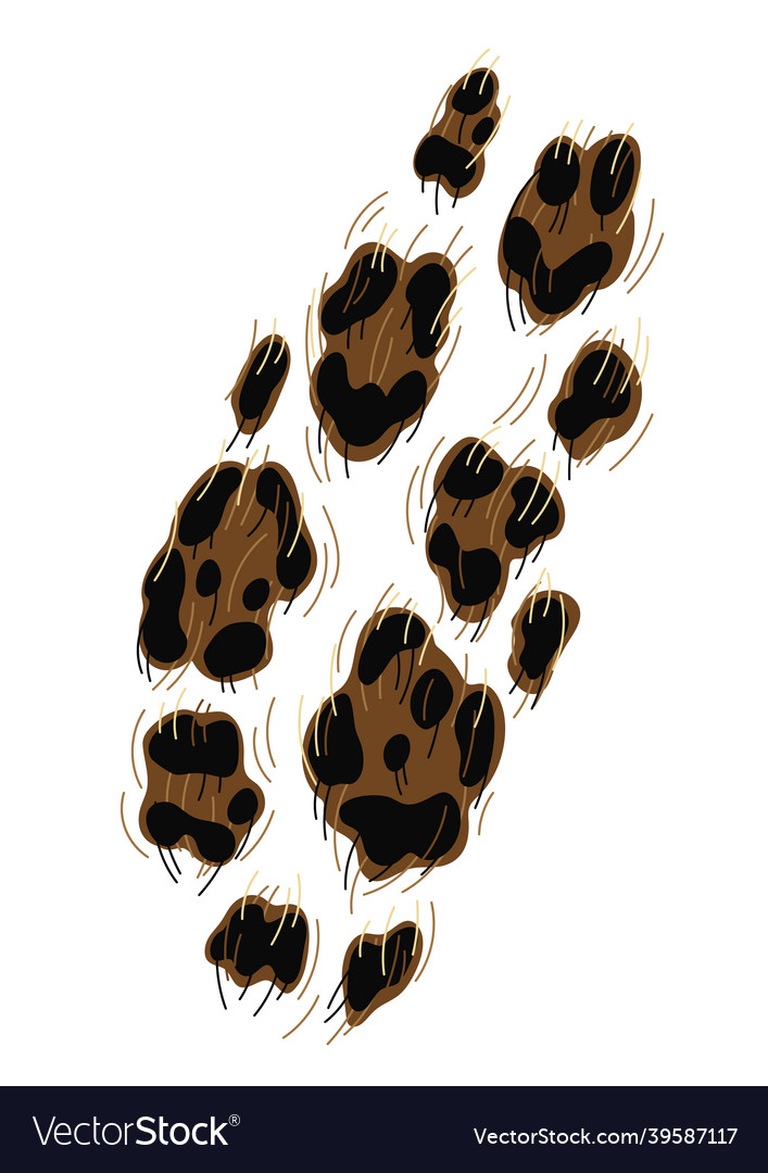 Leopard Print Background