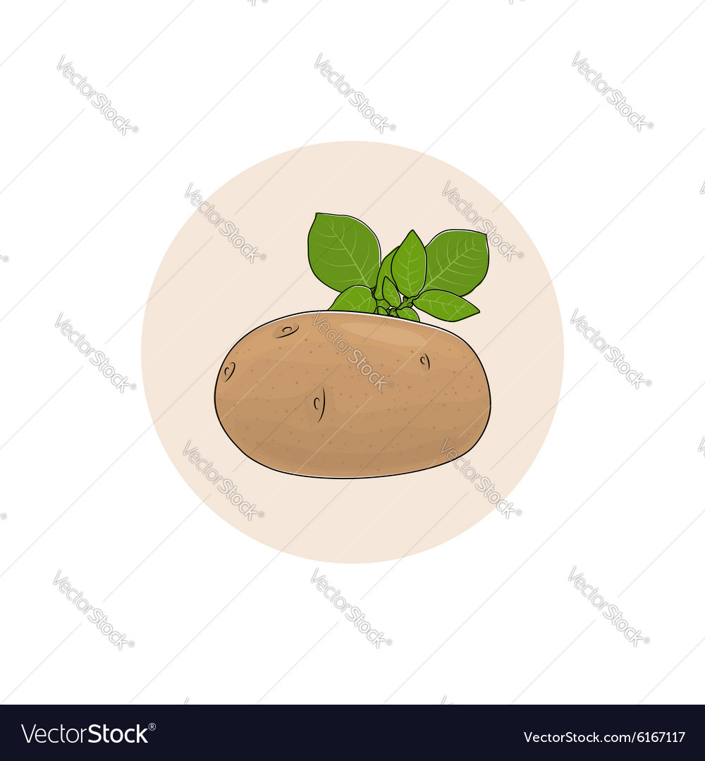 Kartoffel Icon - Gemüse