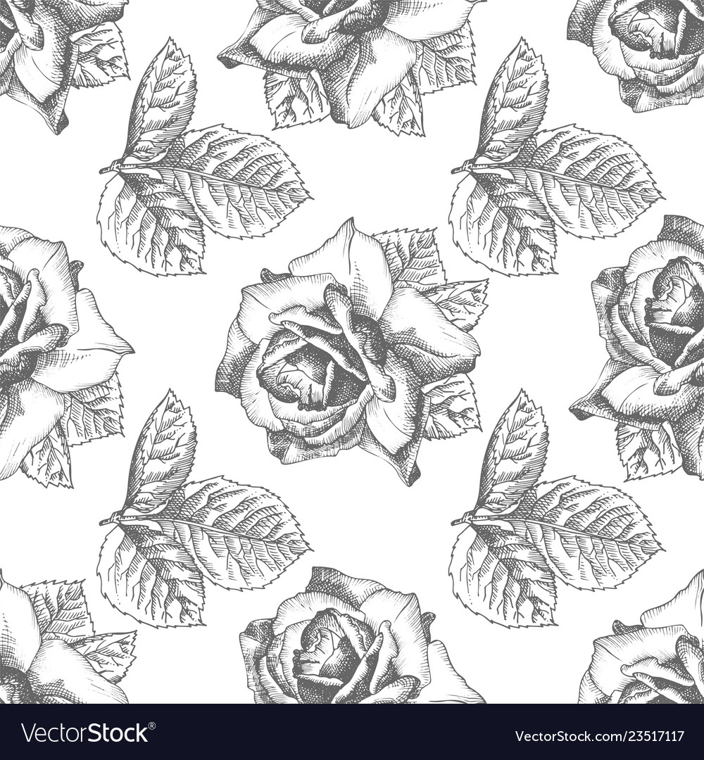 Seamless pattern hand drawn sketch roses detailed