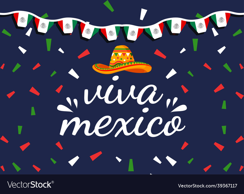 Viva mexico banner with hang flag mexico Vector Image