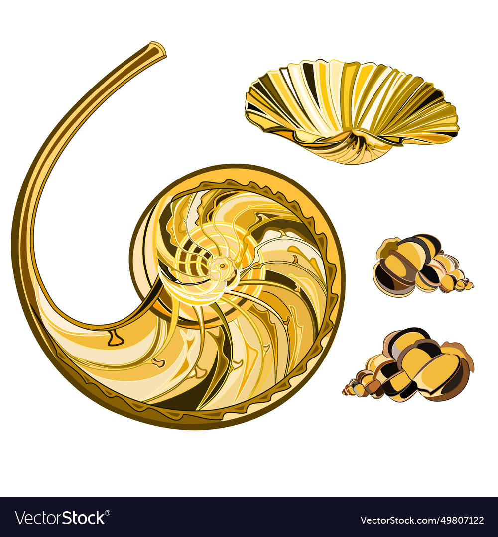 Kollektion Gold Farbe Meeresfrüchte Muscheln