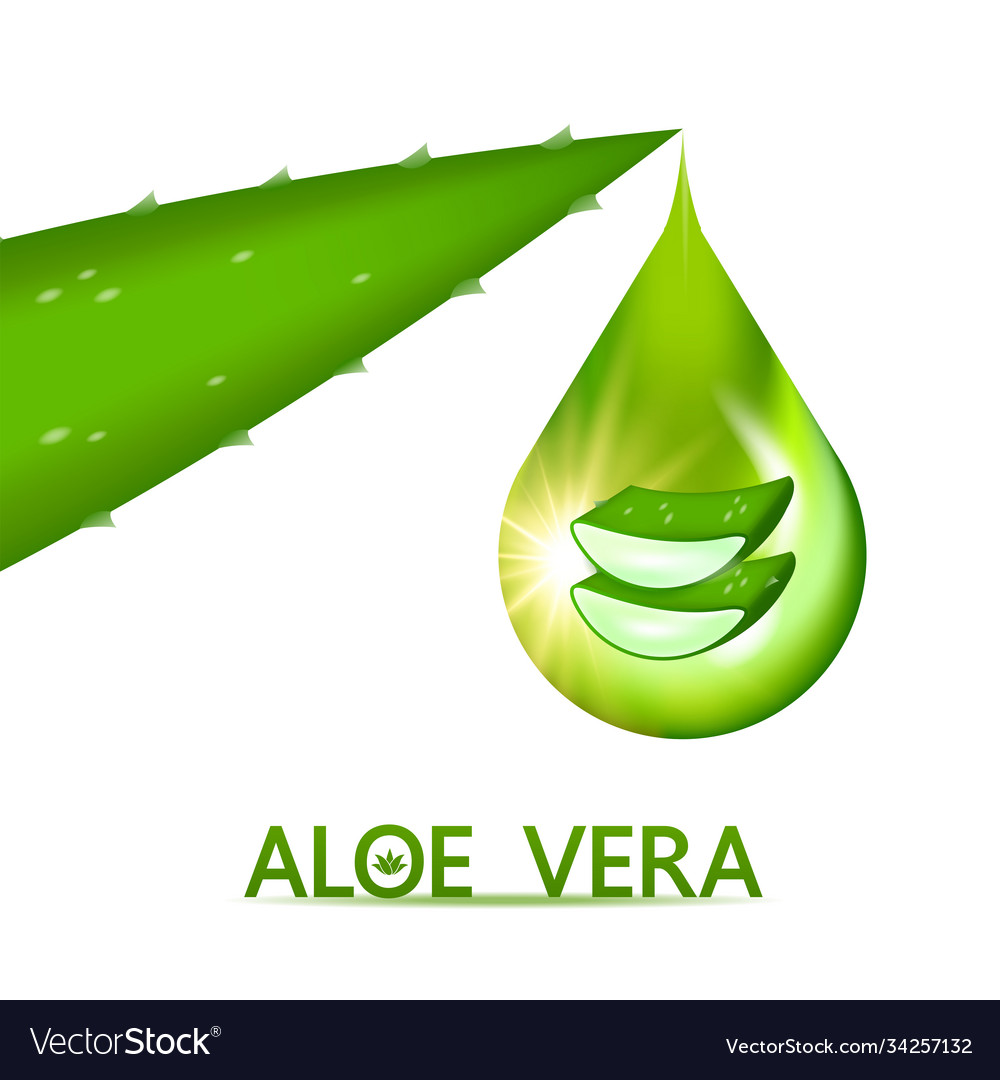 Aloe vera collagen and serum Royalty Free Vector Image