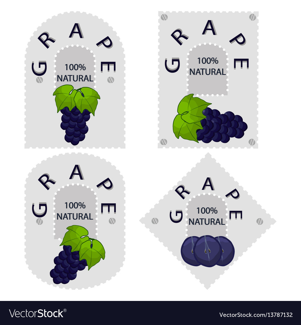 Grape Vector Image Grape