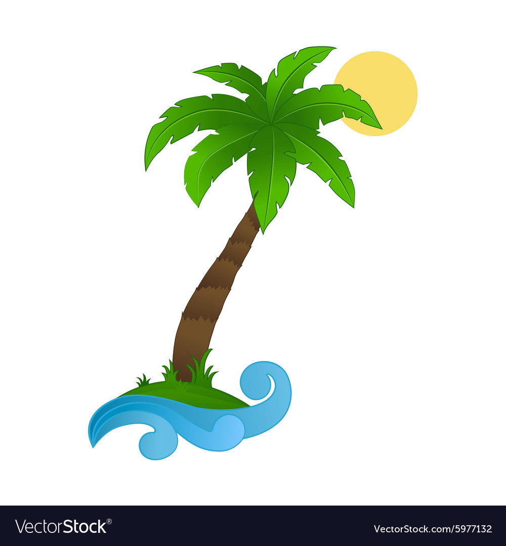 Palm tree on a white background