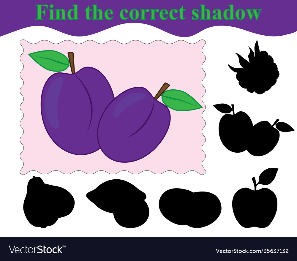 Plum Shadow Matching Game