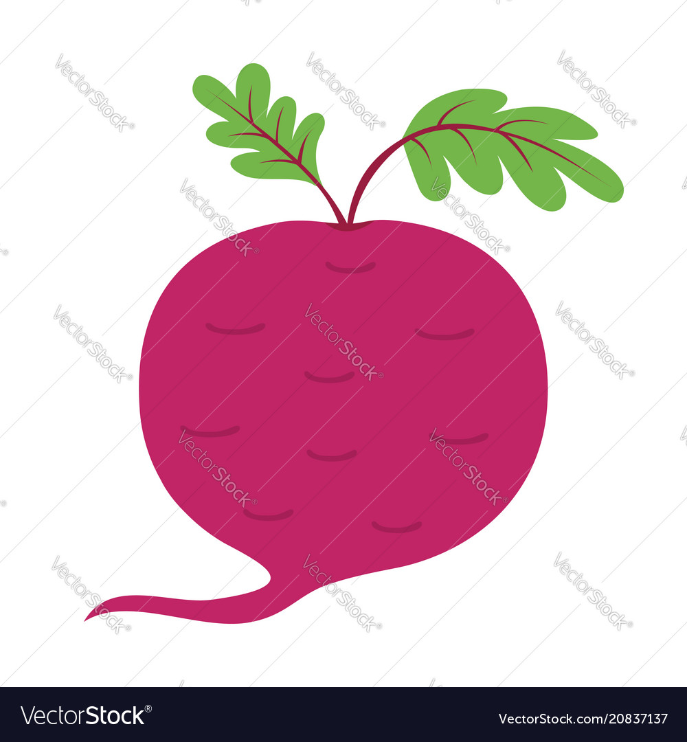 Beet with leaves icon red beetroot vegetable