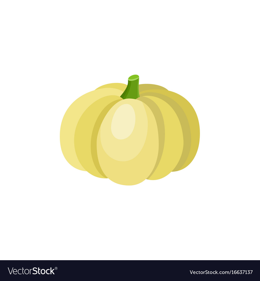 Cute cartoon yellow pumpkin squash vegetable