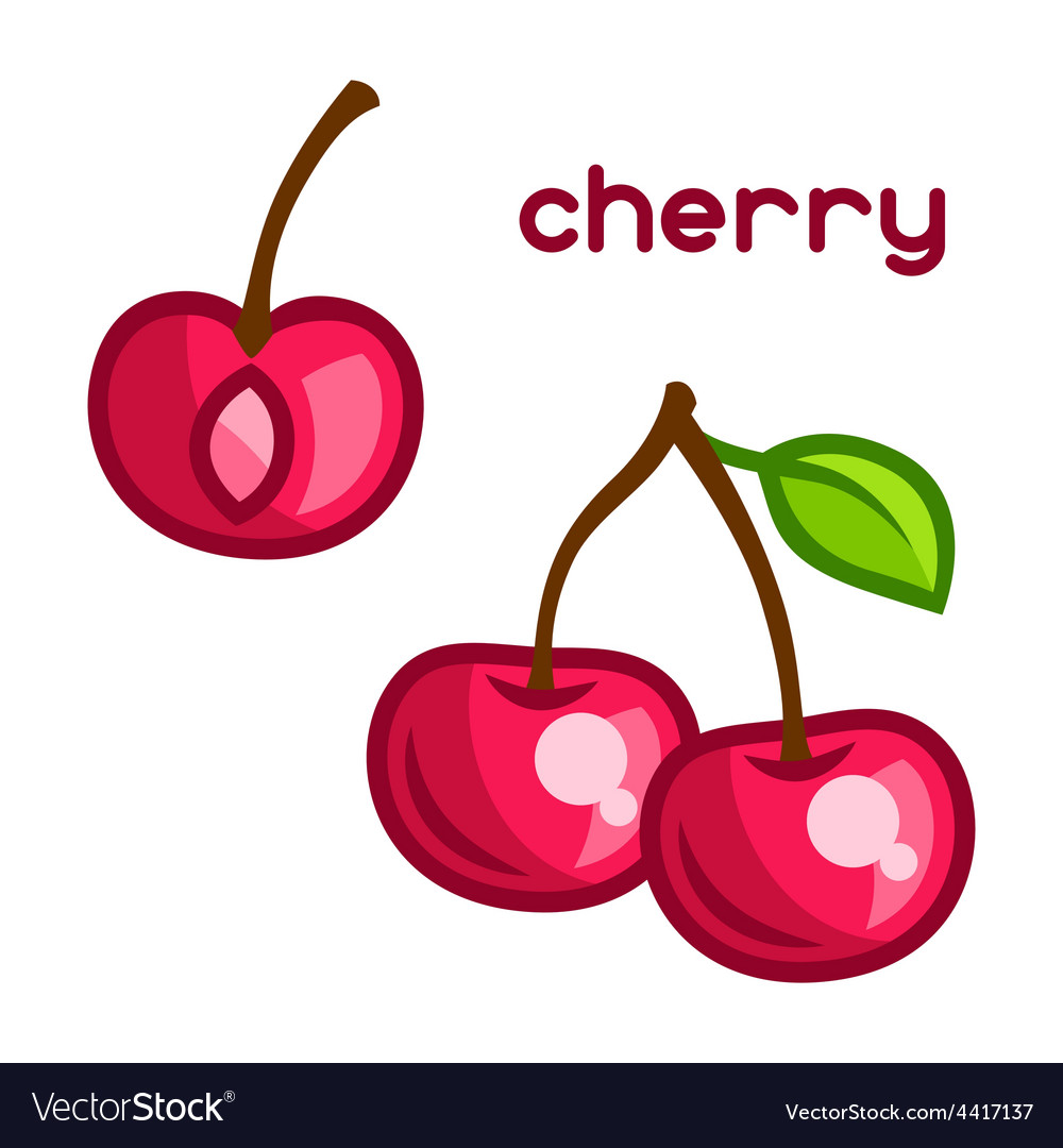 Stylized of fresh cherry on white Royalty Free Vector Image