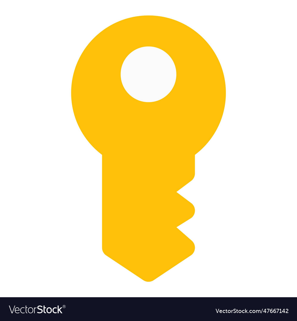 Cyberspace smart key with electronic coding