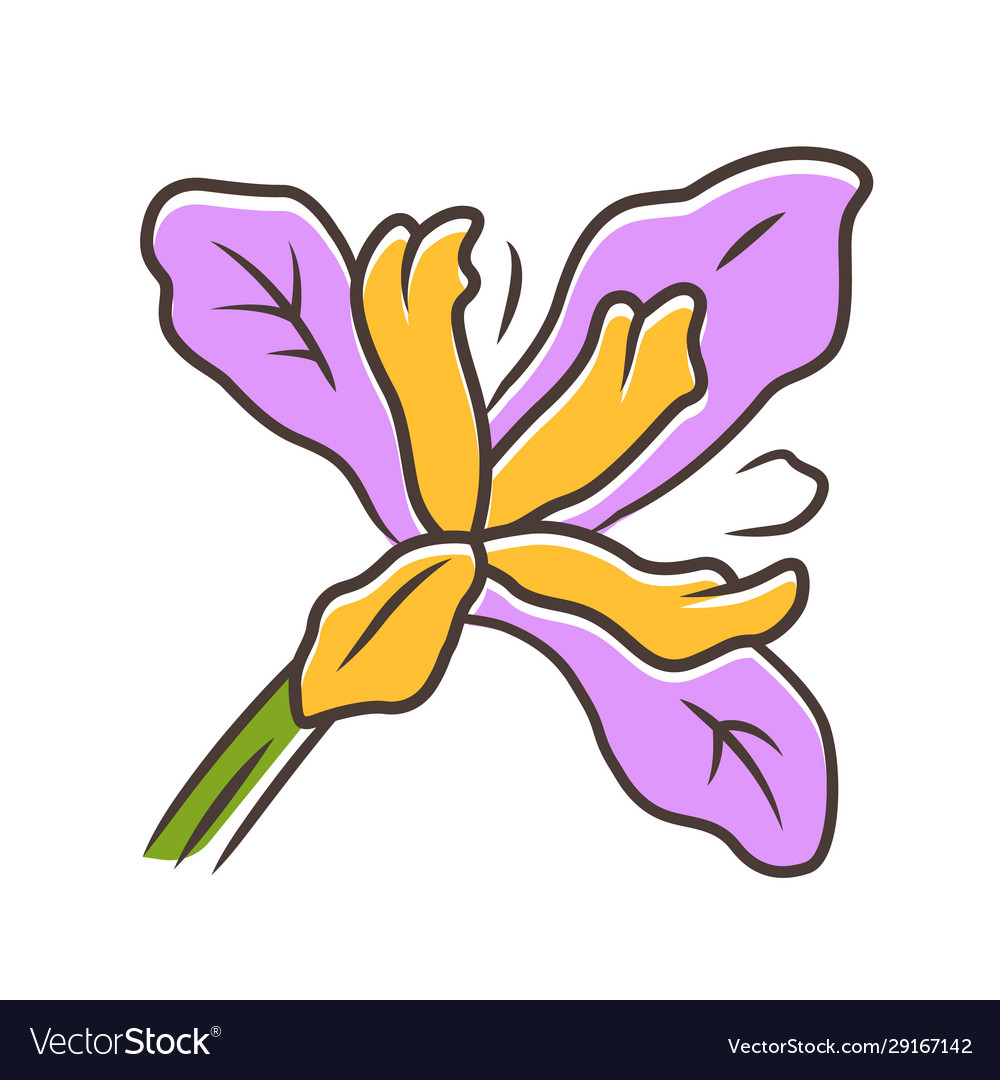 Douglas iris pflanze lila farbe ikone kalifornien vector image Douglas iris pflanze lila farbe ikone kalifornien