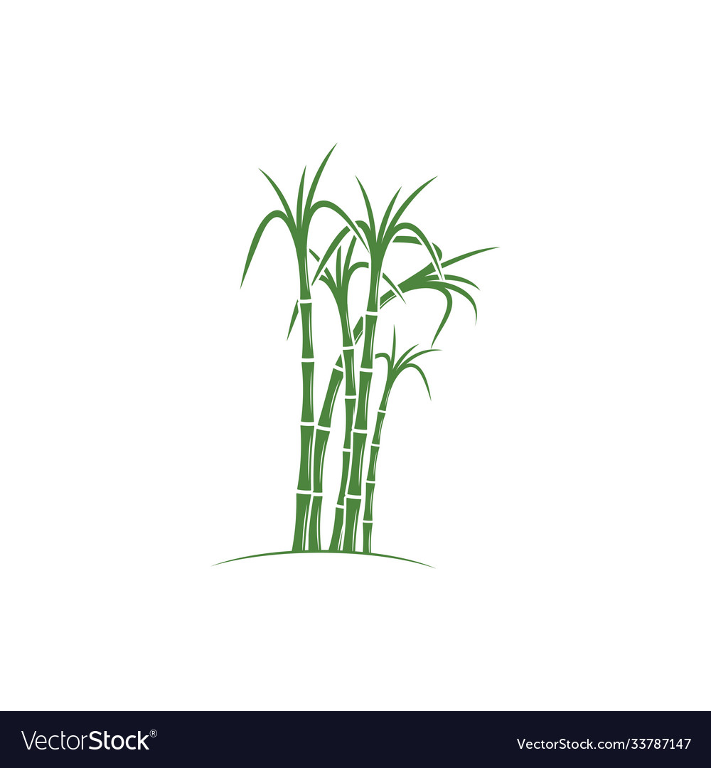 Sugar cane logo template symbol Royalty Free Vector Image