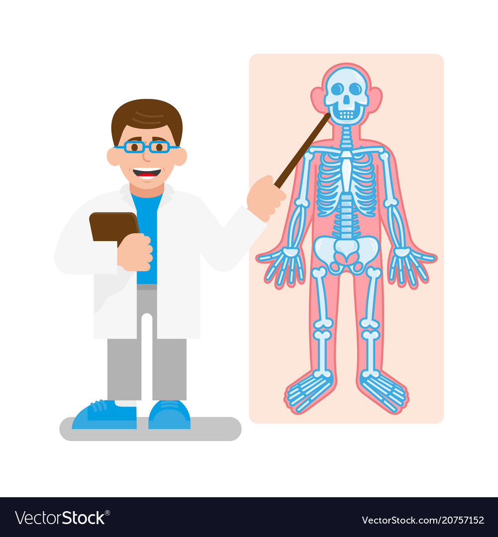 Anatomy Lesson with Skeleton Model