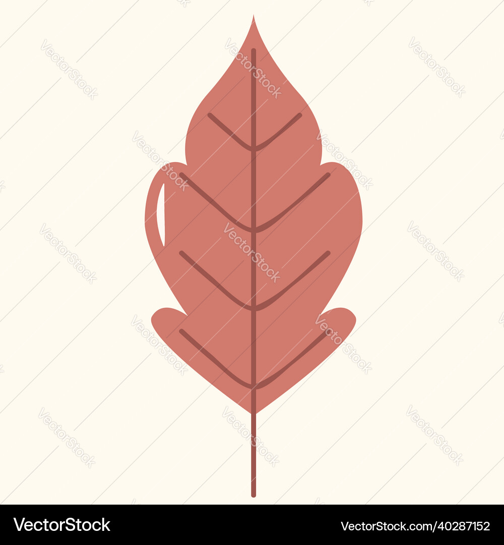 Autumn leave design Royalty Free Vector Image - VectorStock