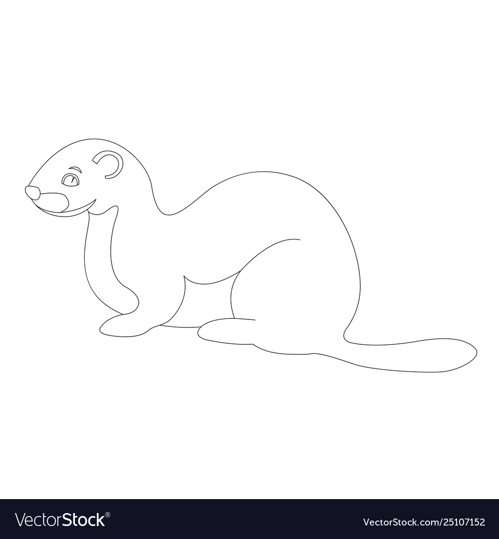 weasel drawing