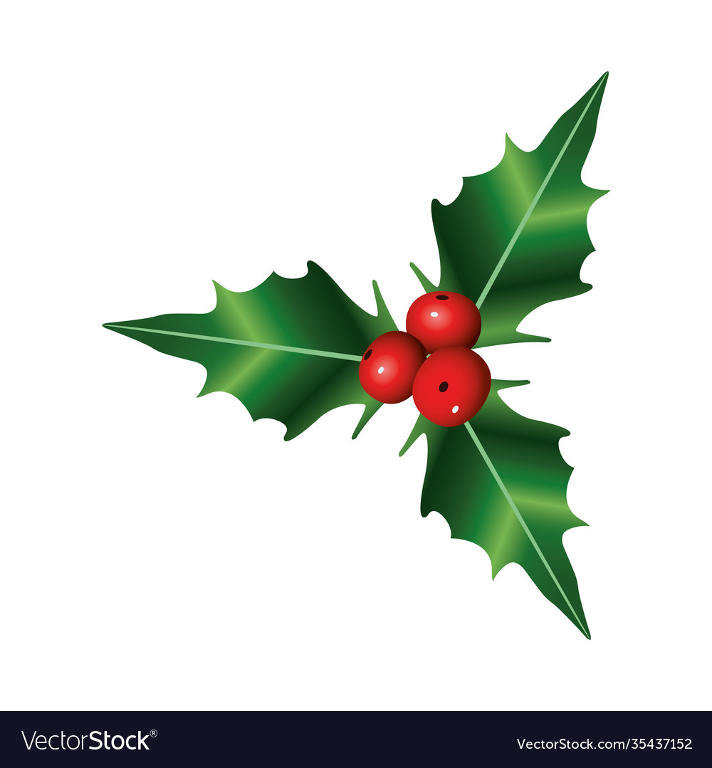 Happy merry christmas berries and leafs natural Vector Image