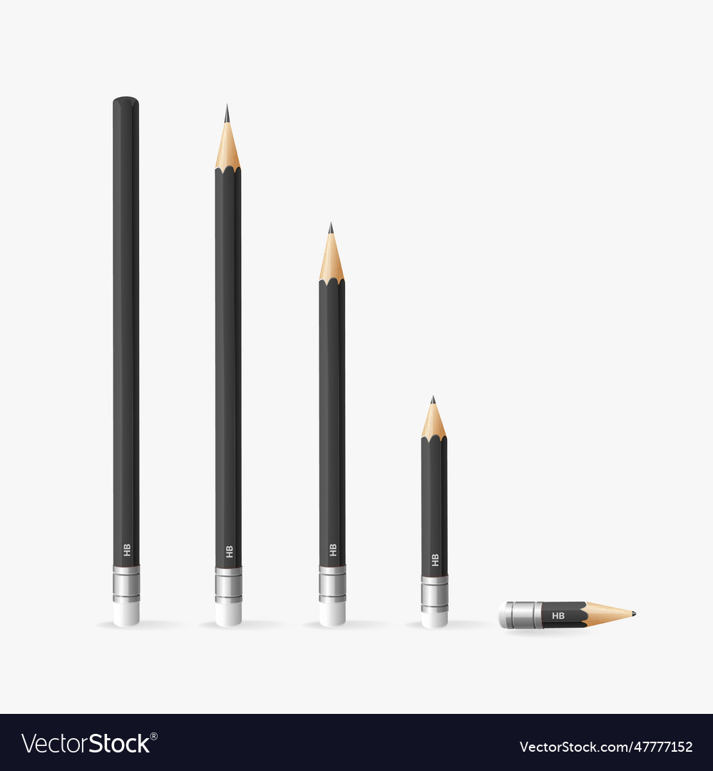 Realistic detailed 3d black sharp lead pencil Vector Image