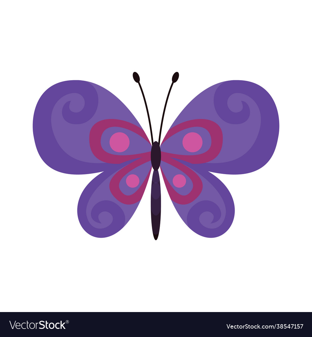 Bunte Schmetterling Flügel